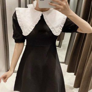 ZARA/ white black peter pan lace collar dress NWT M
